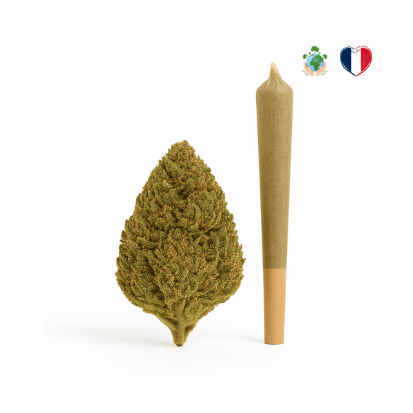 tr4 pré roll cbd france