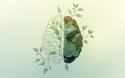 CBD et santé mentale : retrouver l’équilibre naturellement